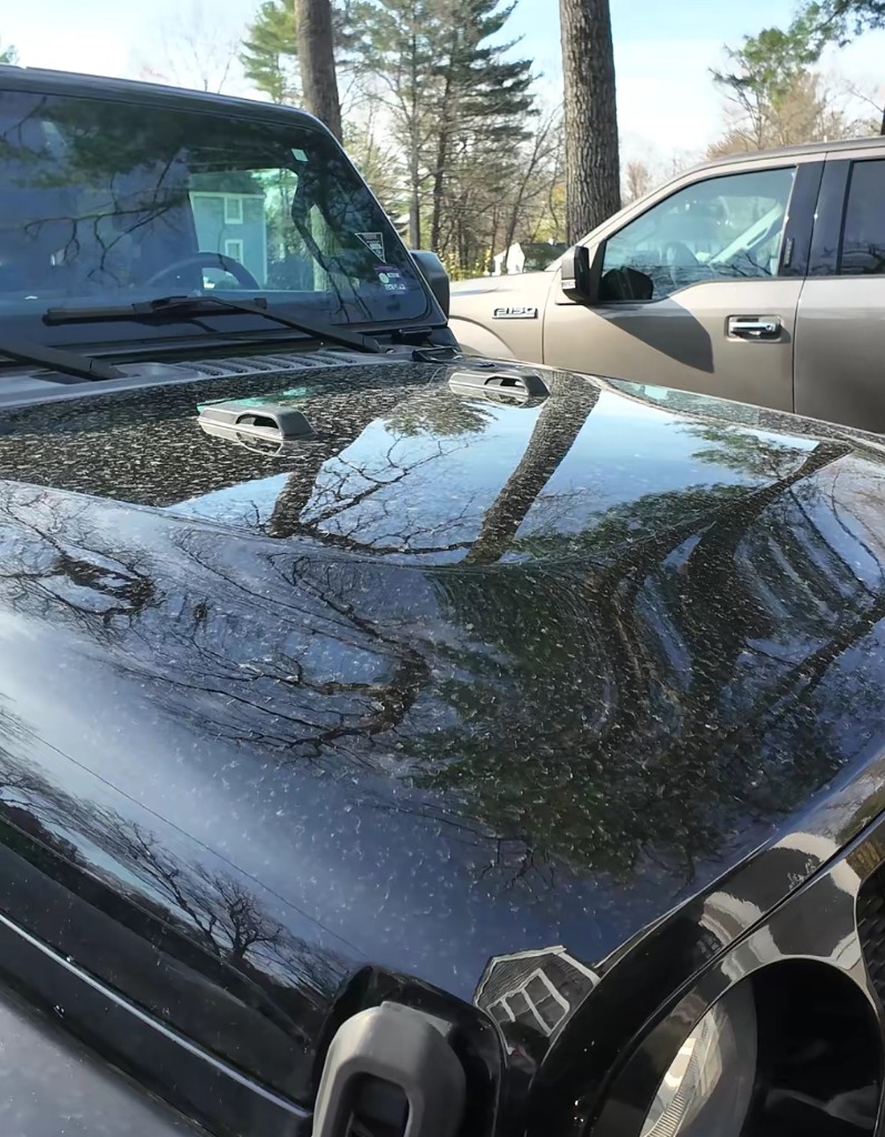 Black Jeep Wrangler hood covered in water spots and road film before detailing in North Ogden