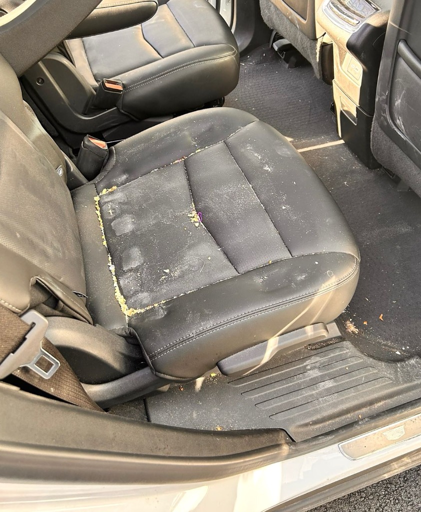 Leather car backseat covered in crumbs and spills before detailing appointment in South Ogden